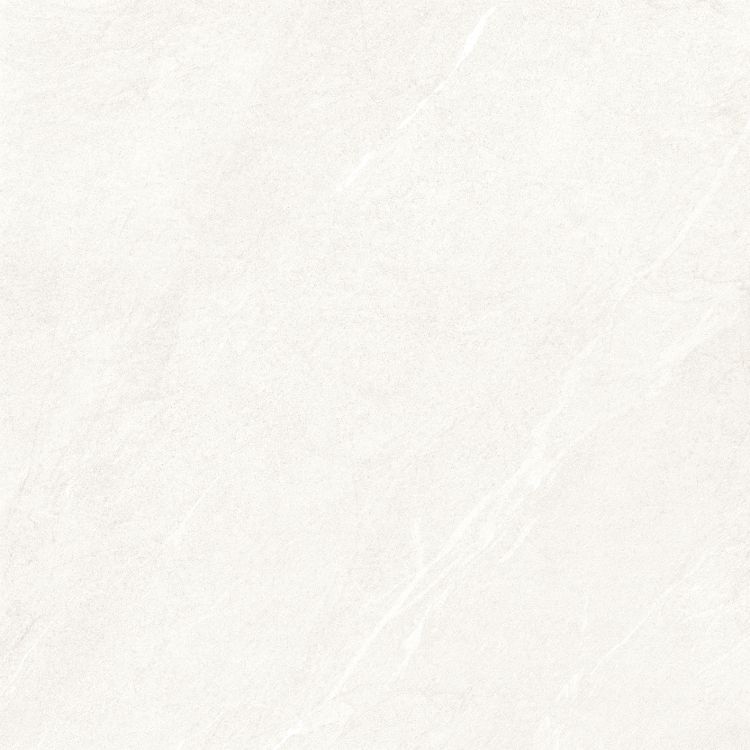 Dhara White Matte 48 x 48